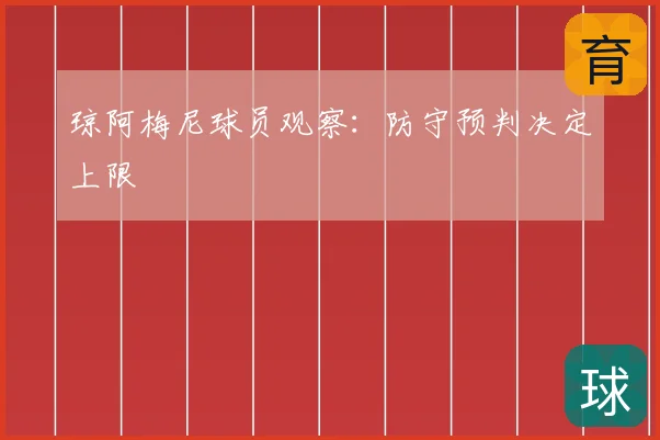 琼阿梅尼球员观察：防守预判决定上限
