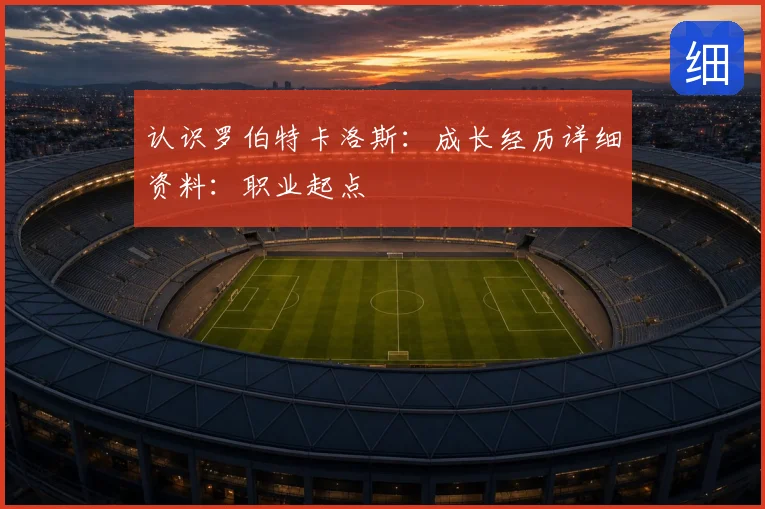 认识罗伯特卡洛斯：成长经历详细资料：职业起点