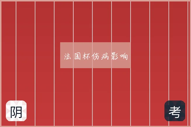 法国杯伤病影响